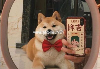 知乎上收集的有趣的签名 精选的微信签名