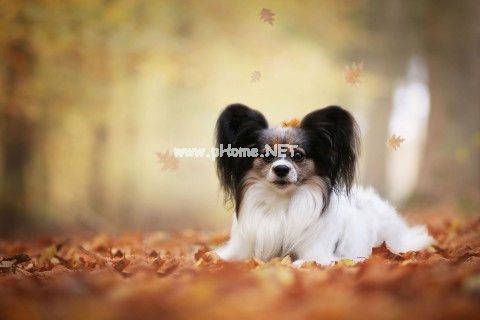 微信朋友圈女人励志个性签名合集80句