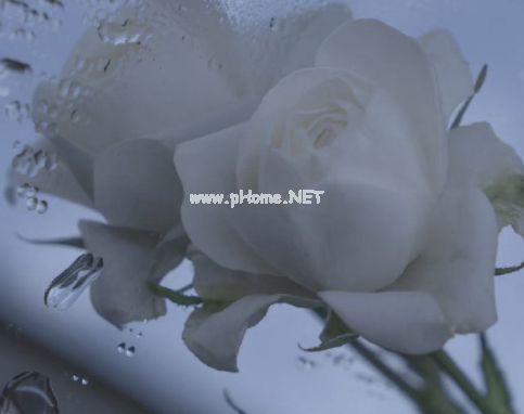 彻底心冷的伤感个性签名 心里哇凉哇凉的伤感语录签名