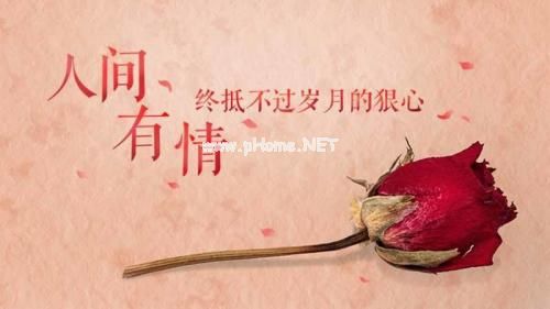 最浪漫的表白个性签名