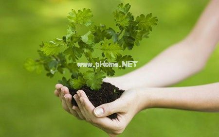 最新古代表白的个性签名