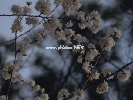 致生活不易的伤感签名 感慨生活不易的签名(精选38条)