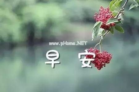 早上好的微信个性签名集合14句