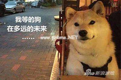 2021情人节说说虐单身狗必备 情人节的幽默句子 适合做签名