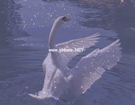 微信置顶的神仙唯美签名 星星温柔泛滥人间至善