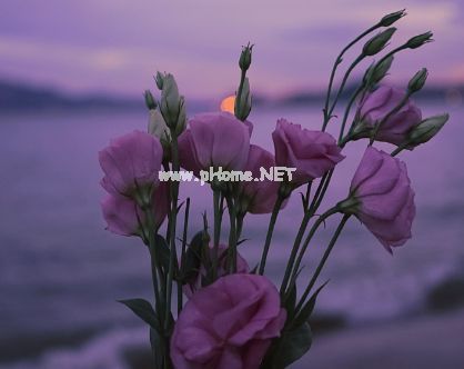 让人想很多意味深长的孤独签名