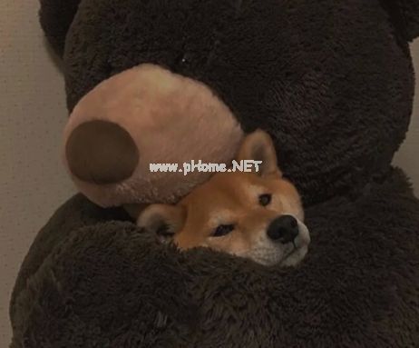 生活很不容易的伤感签名 生活很累的难过签名