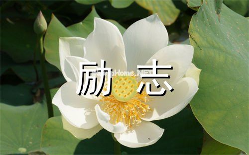 激励人工作的座右铭 个人工作座右铭励志