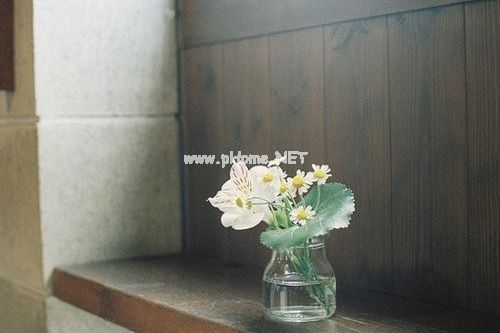 女生搞笑可爱个性签名