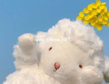 抖音幸福签名暖心简单 你若不离我永相随