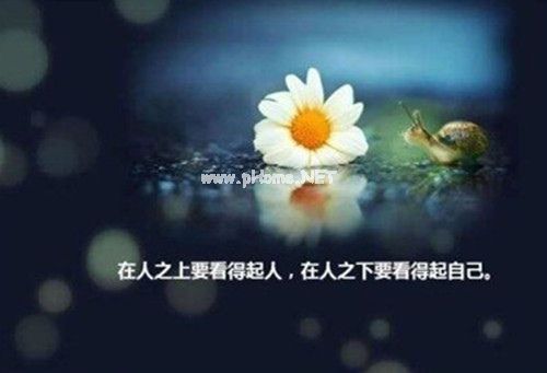 霸气高冷的短句女生个性签名精选36句