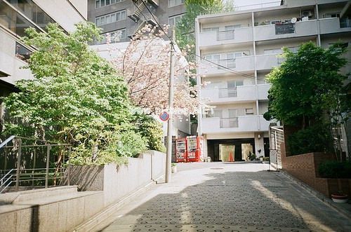 写青春的个性签名