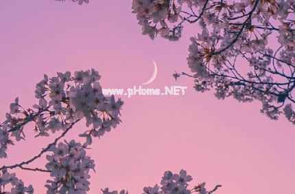 既幸福又搞笑的可爱个性签名 我看起来太胖是被生活打肿的
