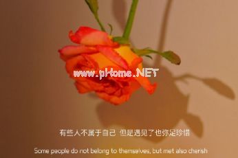 很上档次很实在的个性签名 独一无二的简短签名