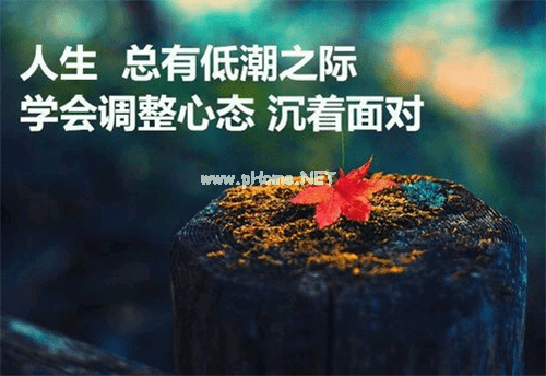 拼搏的句子经典语录
