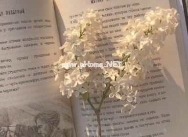 女生小清新个性签名简短 山顶的风景很美一定要去看看