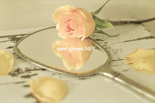 幸福婚姻的句子经典语录
