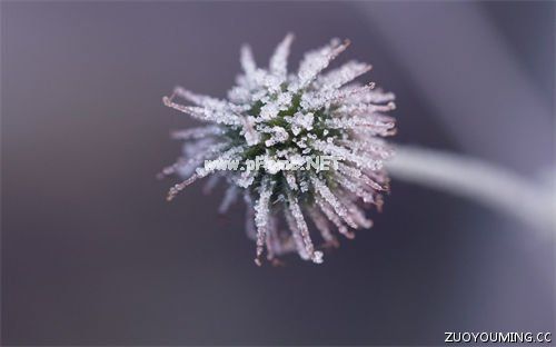 考研励志正能量座右铭(精选83句)