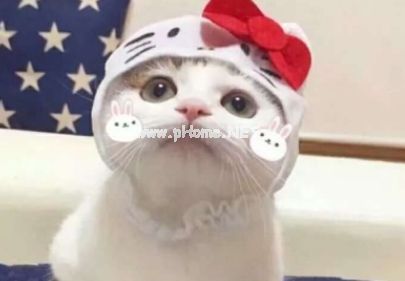 听起来就很幸福的特色个性签名 以你之名书我一生