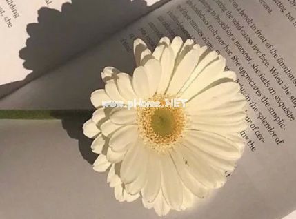 激励自己戒烟的句子签名 让你少抽烟的励志签名