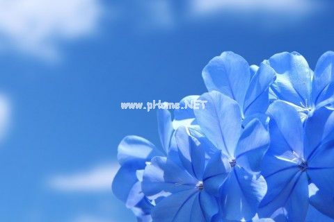 淡然做自己的个性签名 女人淡然的个性签名