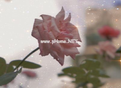 最新个性追星女孩微信签名 你在舞台我在人海