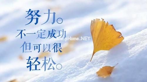 精美表白个性签名大全