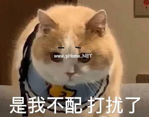2023超级有趣的让人爆笑的沙雕签名 笑死人不偿命的个性签名