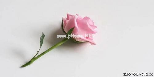 简单又好听的微信昵称