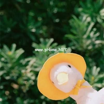 温柔善良的个性签名