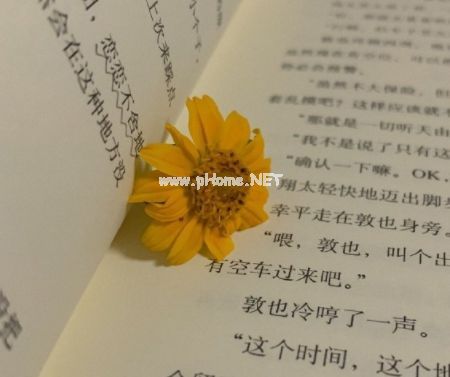 有点难过的酷拽签名最新版 酷酷的签名致自己