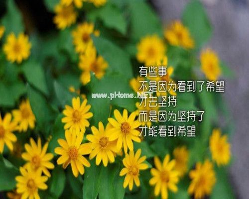 包含人生哲理的励志个性签名