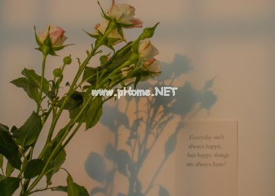 很好听的自我介绍微信签名 一万年太久只争朝夕