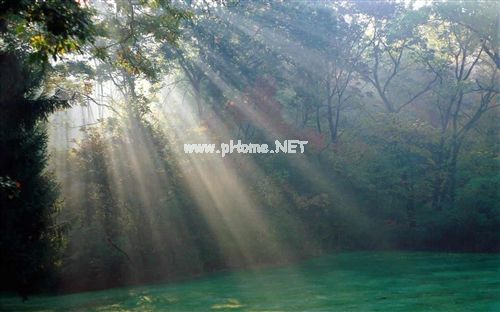 愿你无忧无虑的成长经典句子合集33句
