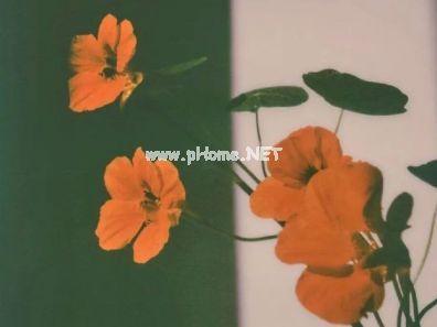 简短的微信签名一句话至自己 疲倦的生活里总要有些温柔的梦想