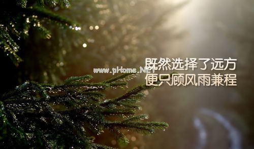 座右铭大全励志