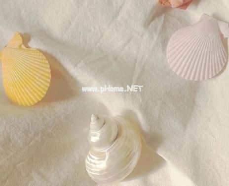双鱼座很有个性的唯美签名 适合双鱼座的个性唯美句子(精选33条)