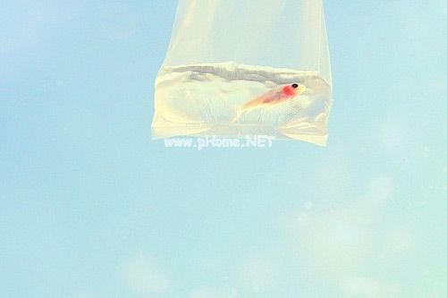 有关现实人生感悟说说个性签名