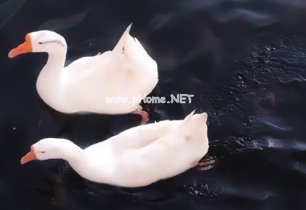 女汉子的个性霸道签名 很酷拽的霸气签名