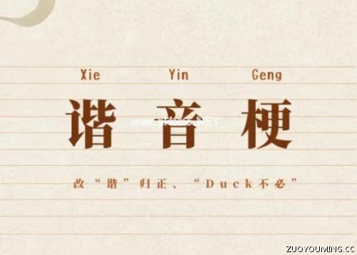有趣的英文谐音梗网名