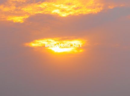 浪漫又很暖心的幸福签名 简短阳光温暖签名2023版汇编43句
