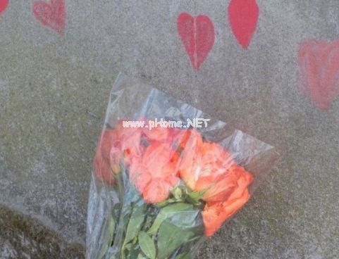 超好听的热门个性签名女生 小清新干净的女生签名