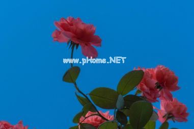 一个人的精选有道理QQ签名 落日美好该用什么理由发给你