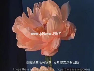 给人一种桀骜不驯的超拽签名 气场全开的超拽签名