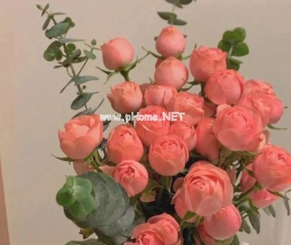 纯欲风女生超级好听的签名 清纯风格的女生签名最新