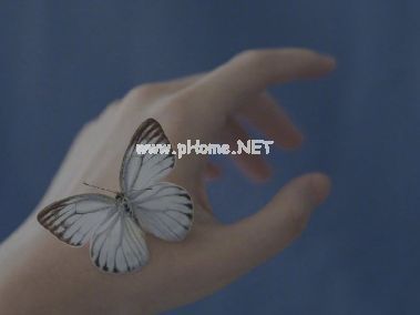 男女通用的无所谓签名 对自己最大安慰就是无所谓