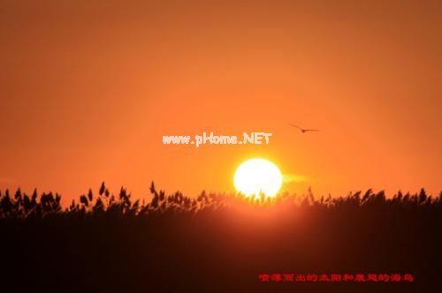 太阳的座右铭