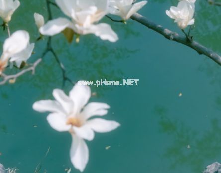 很舒心清爽适合夏季的微信签名 很舒心淡雅的微信签名