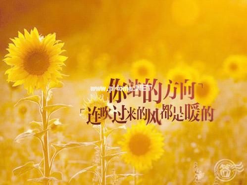 关于表白的精美个性签名