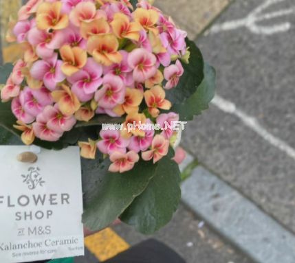 干净简短有意思的微信个性签名 站在世俗里难免容易被遗忘